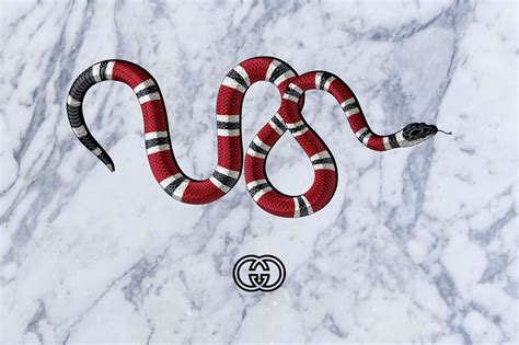 gucci snakes are nice|Gucci snake meaning.